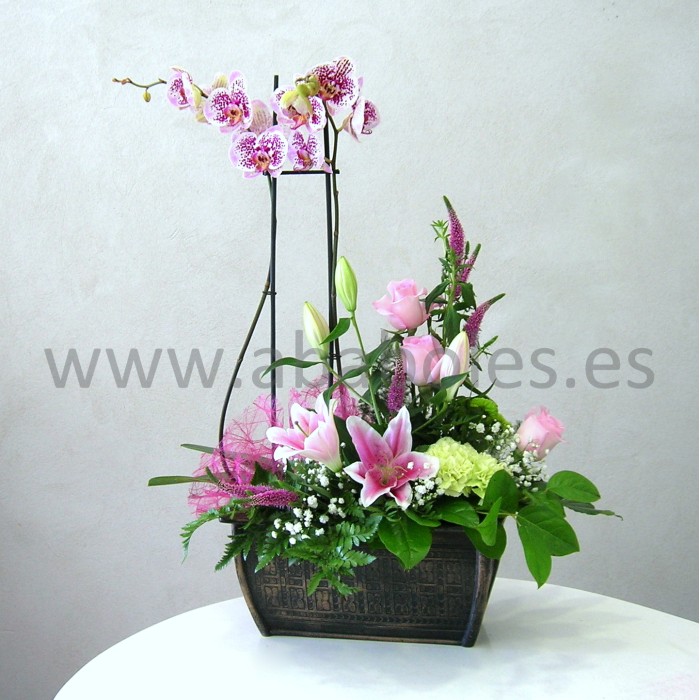 Centro de Orquídeas y Lilium